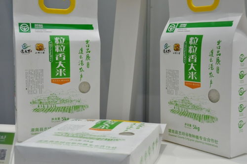 連天下 優質農產品 南京展銷會盛大開幕，南京竹石引領綠色消費新風尚