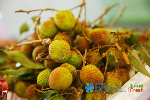 望都都南優享農產品亮相南京 竹石文化節上展風采